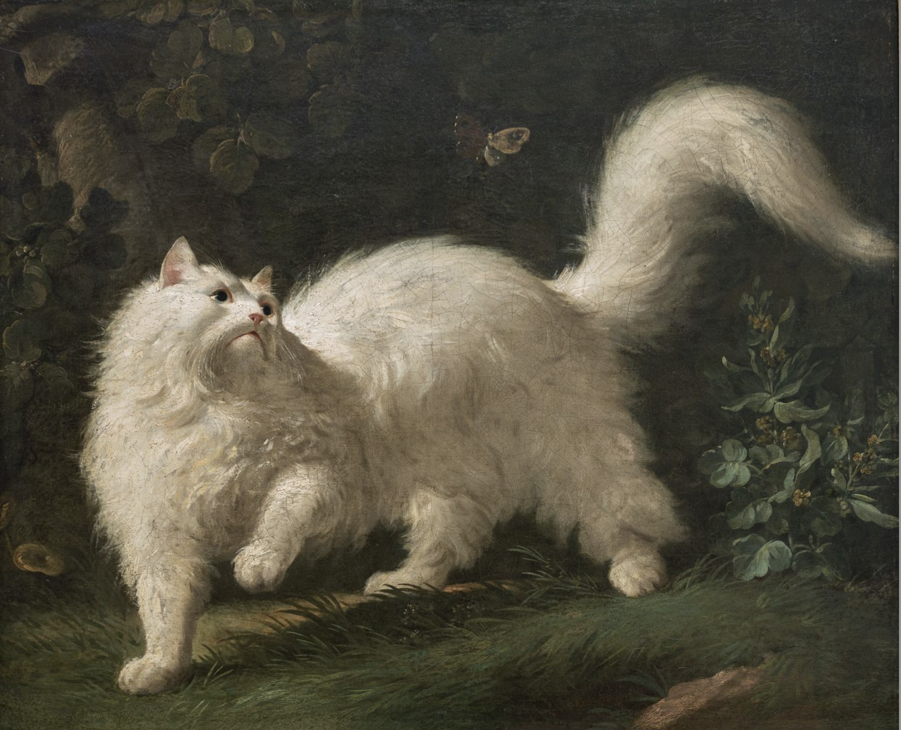 Les chats dans l’histoire de l’art